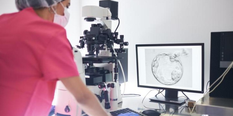 What the AMH test tells you about your fertility and what it does not