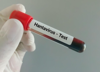 Why is hantavirus drawing global attention? | Explained