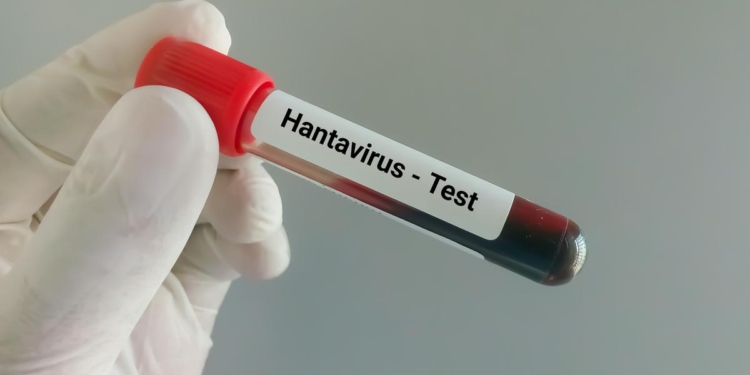 Why is hantavirus drawing global attention? | Explained