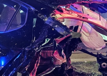 Woman survives car being cut in half