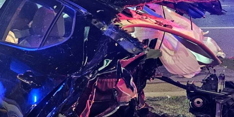 Woman survives car being cut in half
