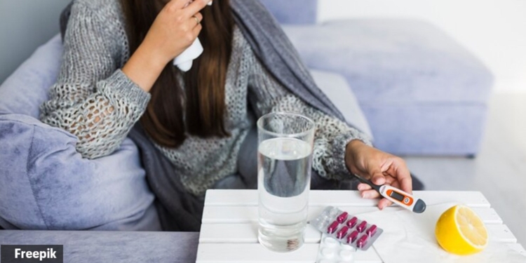 Hantavirus Outbreak 2026: Symptoms, Fatality Rates, and How to Stay Safe
