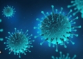 infectious diseases