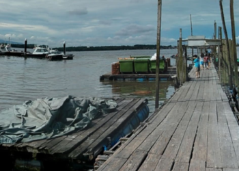 Worker killed in lightning strike at fish farm off Lim Chu Kang